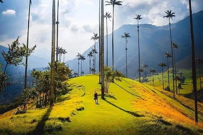 Cocora Valley & Salento